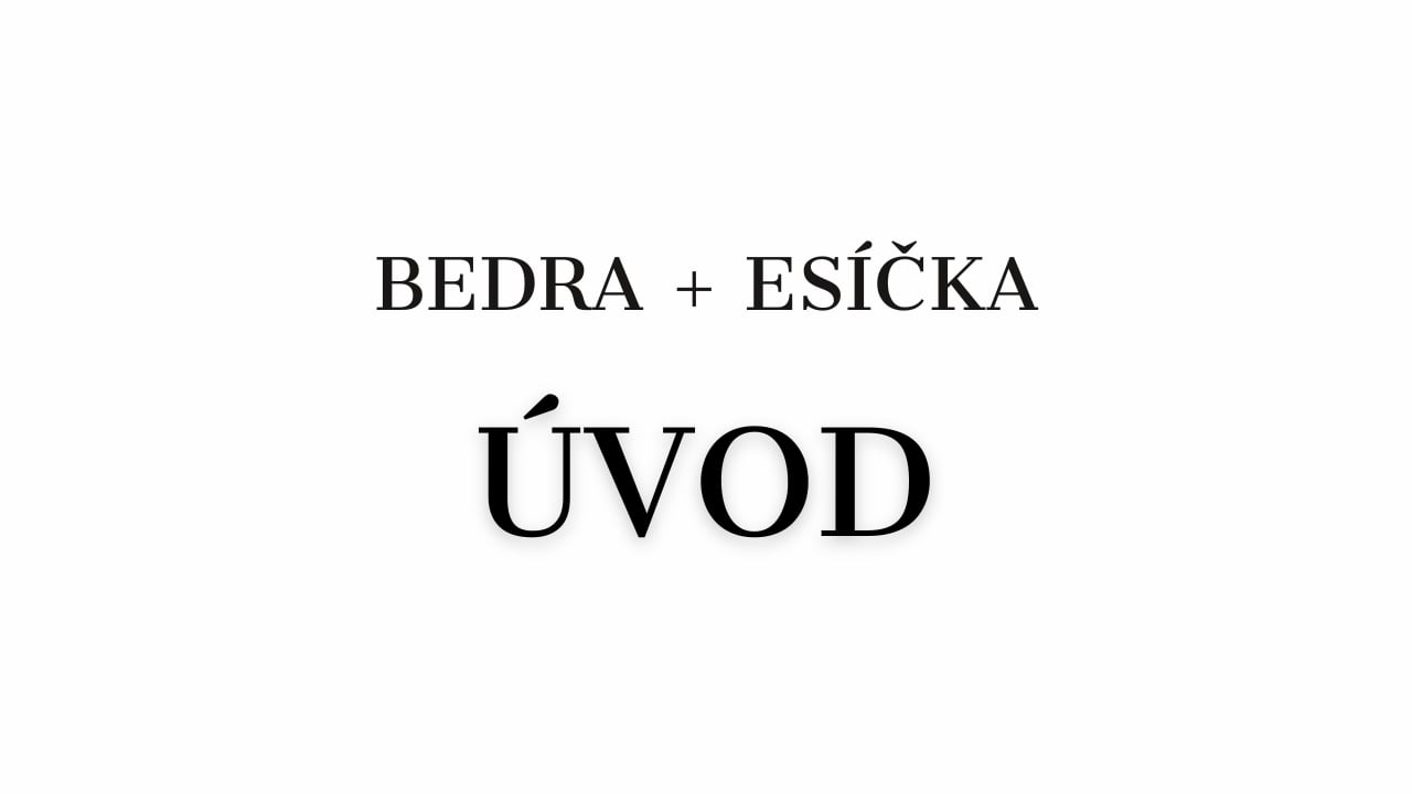 ÚVOD k BEDRŮM A ESÍČKŮM