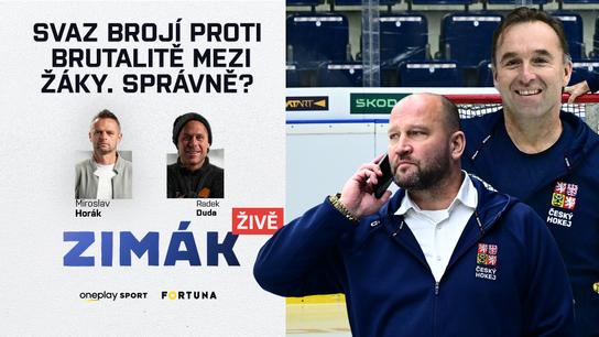 Zákazy bodyčeků? Cesta, jak vrátit české hráče na draft NHL, tvrdí Hnilička | Zimák