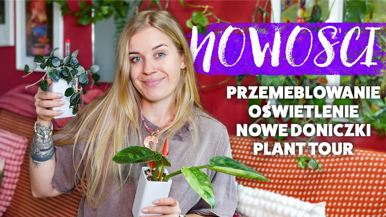 nowa lampa • nowe przyrosty • nowa aranżacja • plant tour