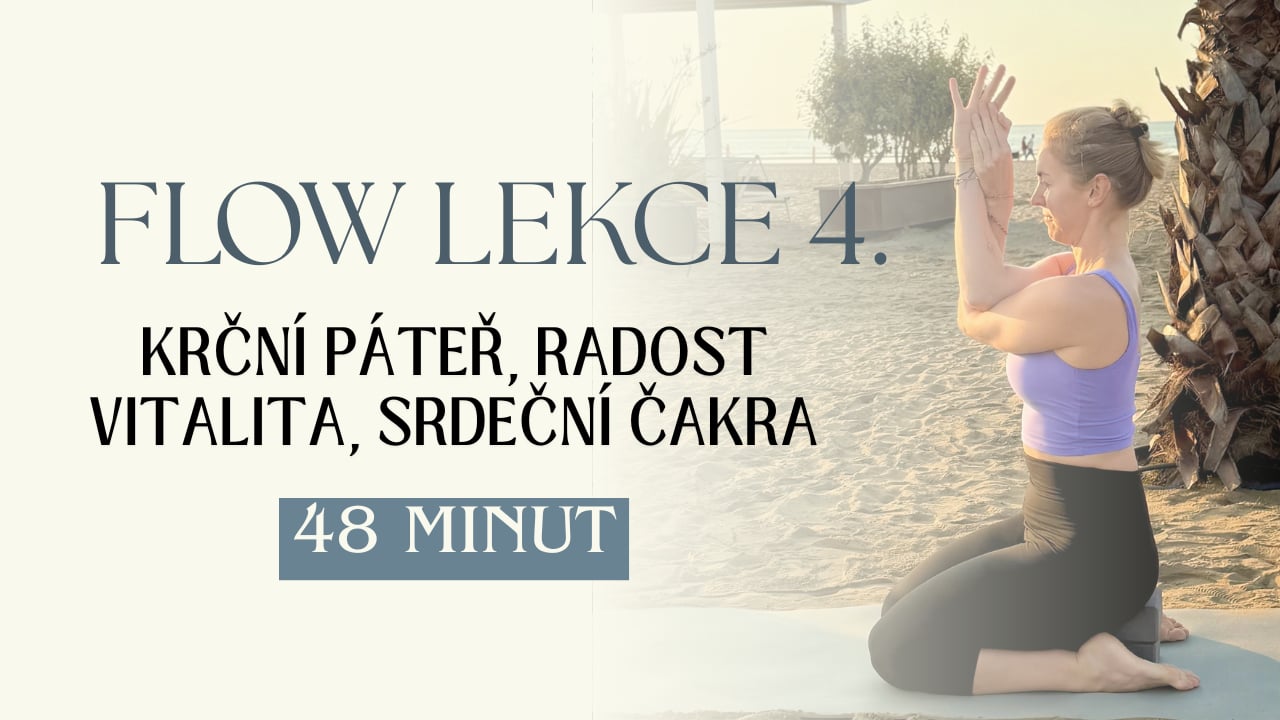 LEKCE 4. - Týden 25