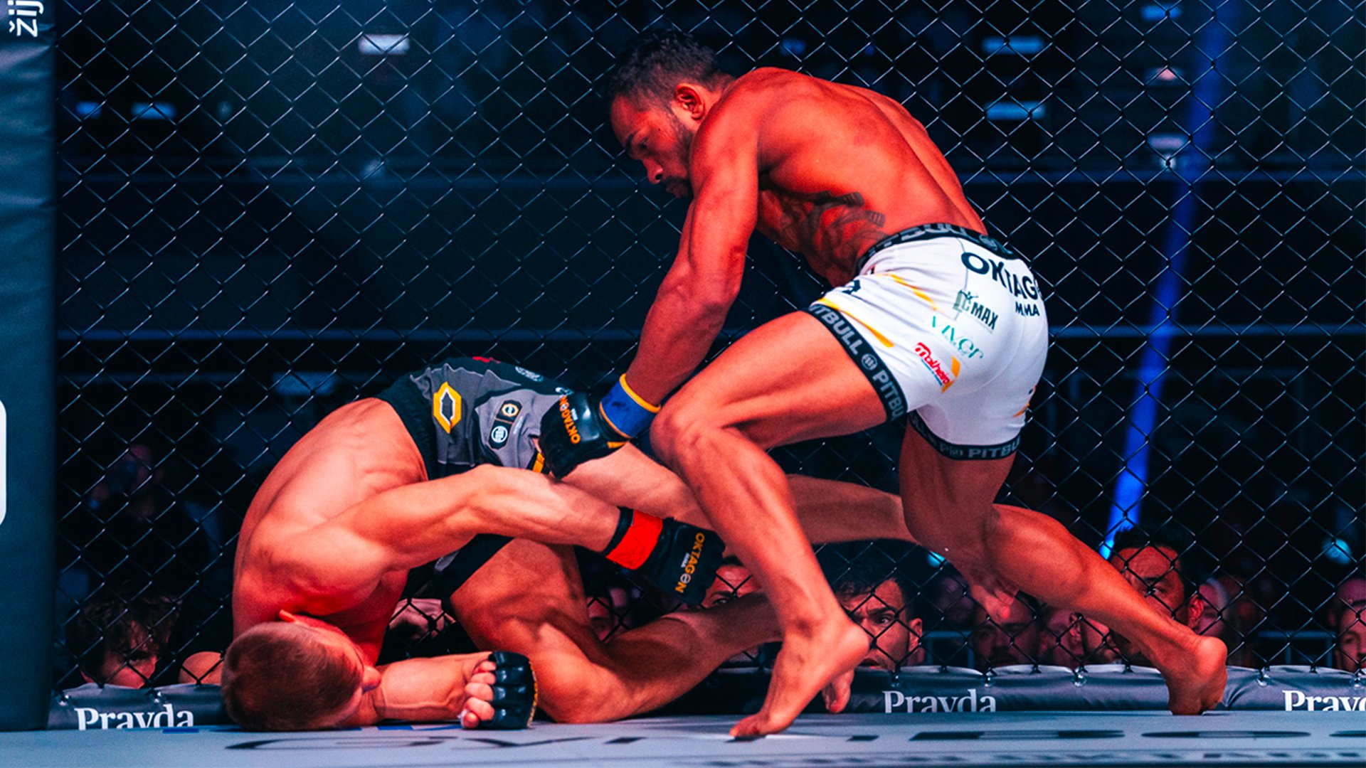 Dohnal vs. Wanderley