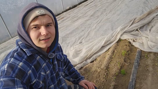 Rzodkiewka po przymrozkach i nowy tunel