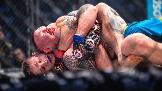 Petrášek vs. Stanton