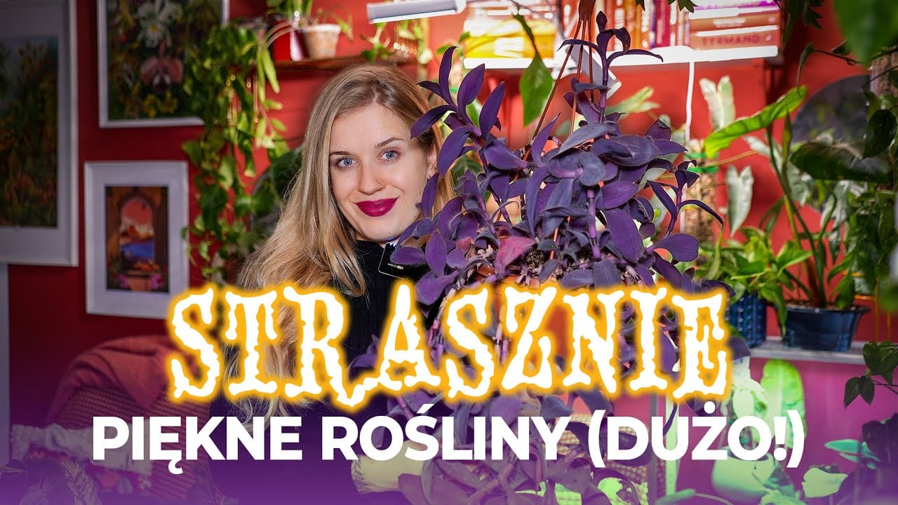 Przerażająco piękne rośliny - dużo przykładów | plant tour | Flora Point | nowy domownik 💛
