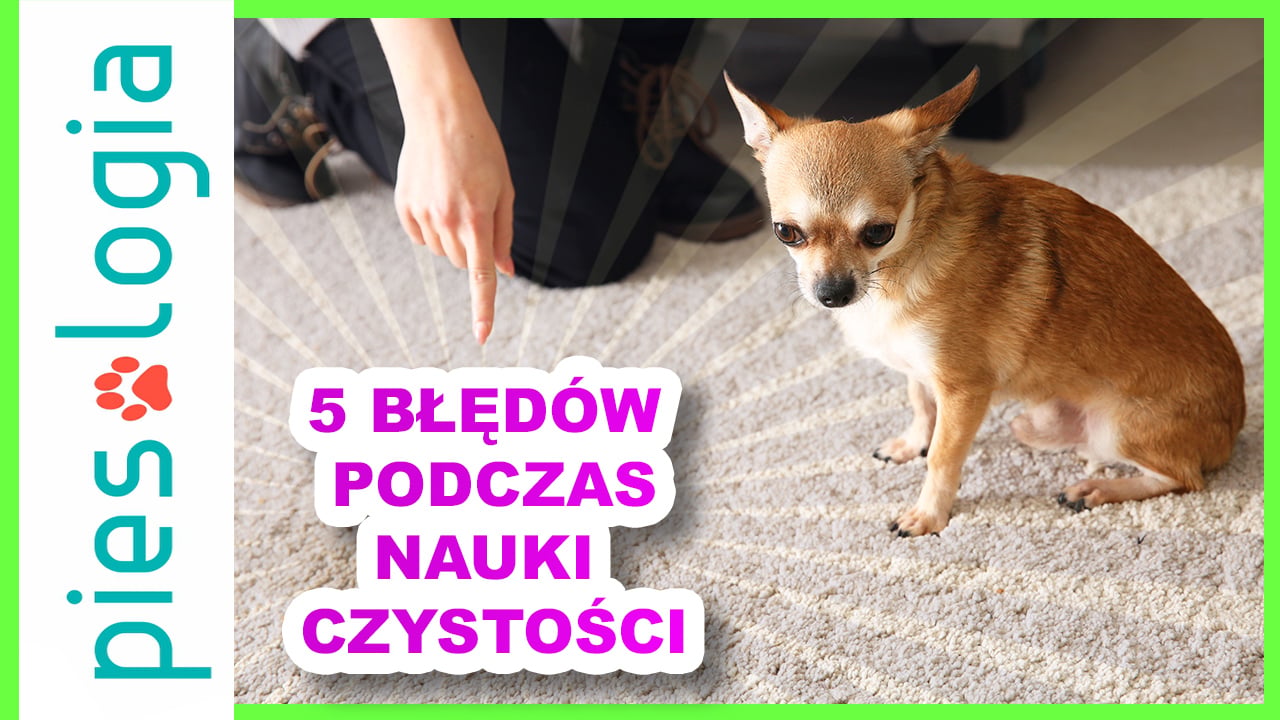 5 błędów popełnianych podczas nauki czystości
