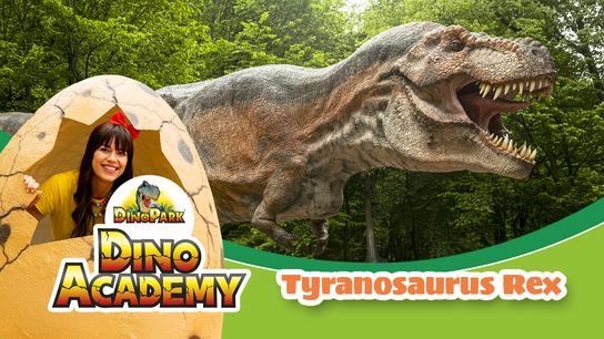 T- REX - Dinoacademy - Karol a Kvído 