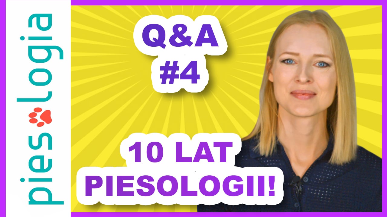 Q&A z okazji 10 lat Piesologii 