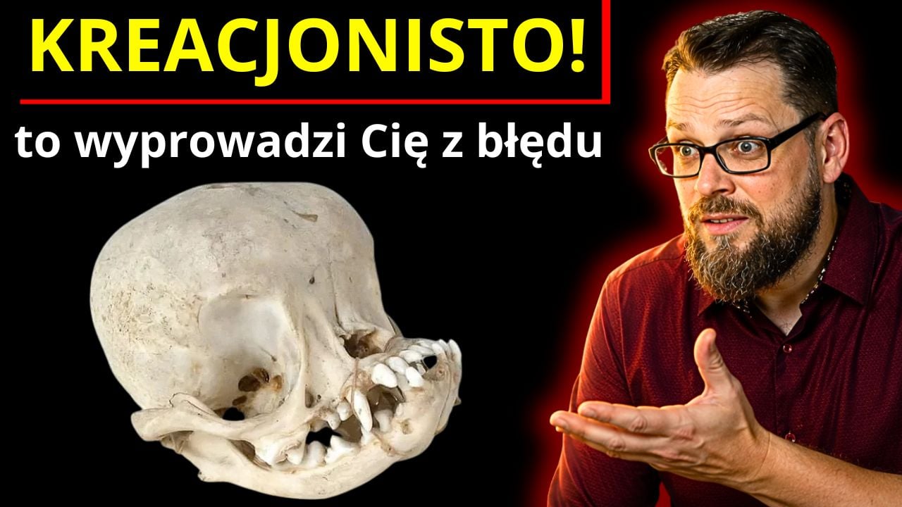 Kreacjonisto! Co o tym sądzisz?