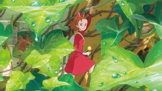 Arrietty ze světa půjčovníčků