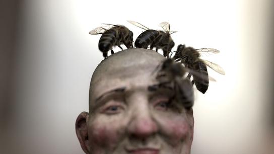 Všechno dobře dopadne