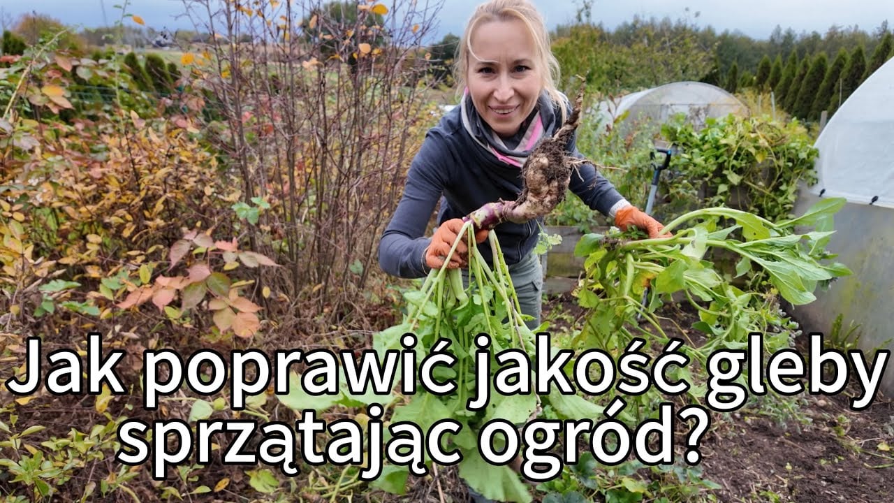 Jak poprawić jakość gleby przy okazji sprzątania ogrodu po sezonie?