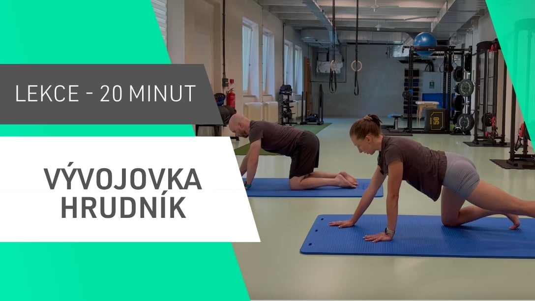 Vývojovka - Hrudník