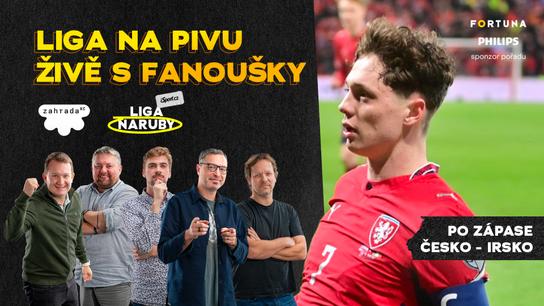 Koubek zabil Daridu, Češi to zlomili silou, tahoun Krejčí a antivýkon Chorého. Jak na Dánsko? | Speciál živě