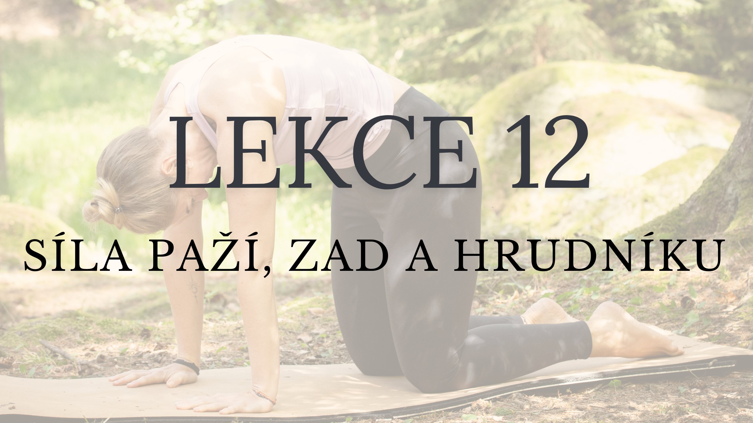 LEKCE 12 - Síla paží, zad a hrudníku