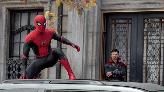 Spider-Man: Bez domova
