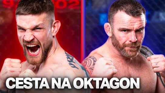 Petrášek vs. Stanton