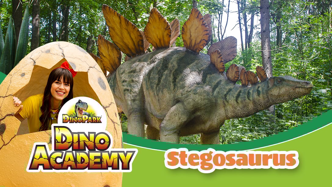 DinoAcademy - Stegosaurus - Karol a Kvído - Dinosauři - Dinopark