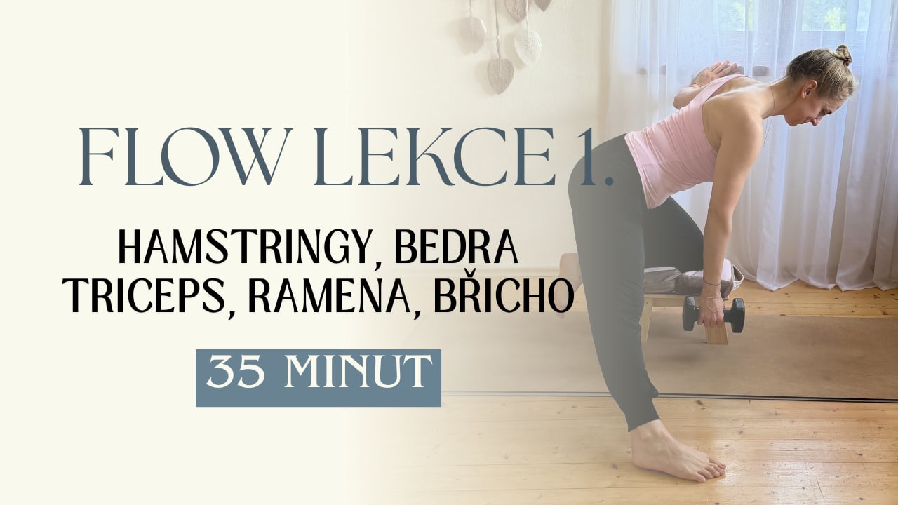 LEKCE 1. - Týden 25