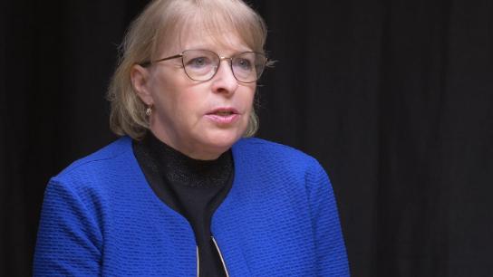 HANA MARVANOVÁ: Policie vyšetřuje sebevraždu matky oběti z FF UK, zkoumá zištný motiv muže z její blízkosti