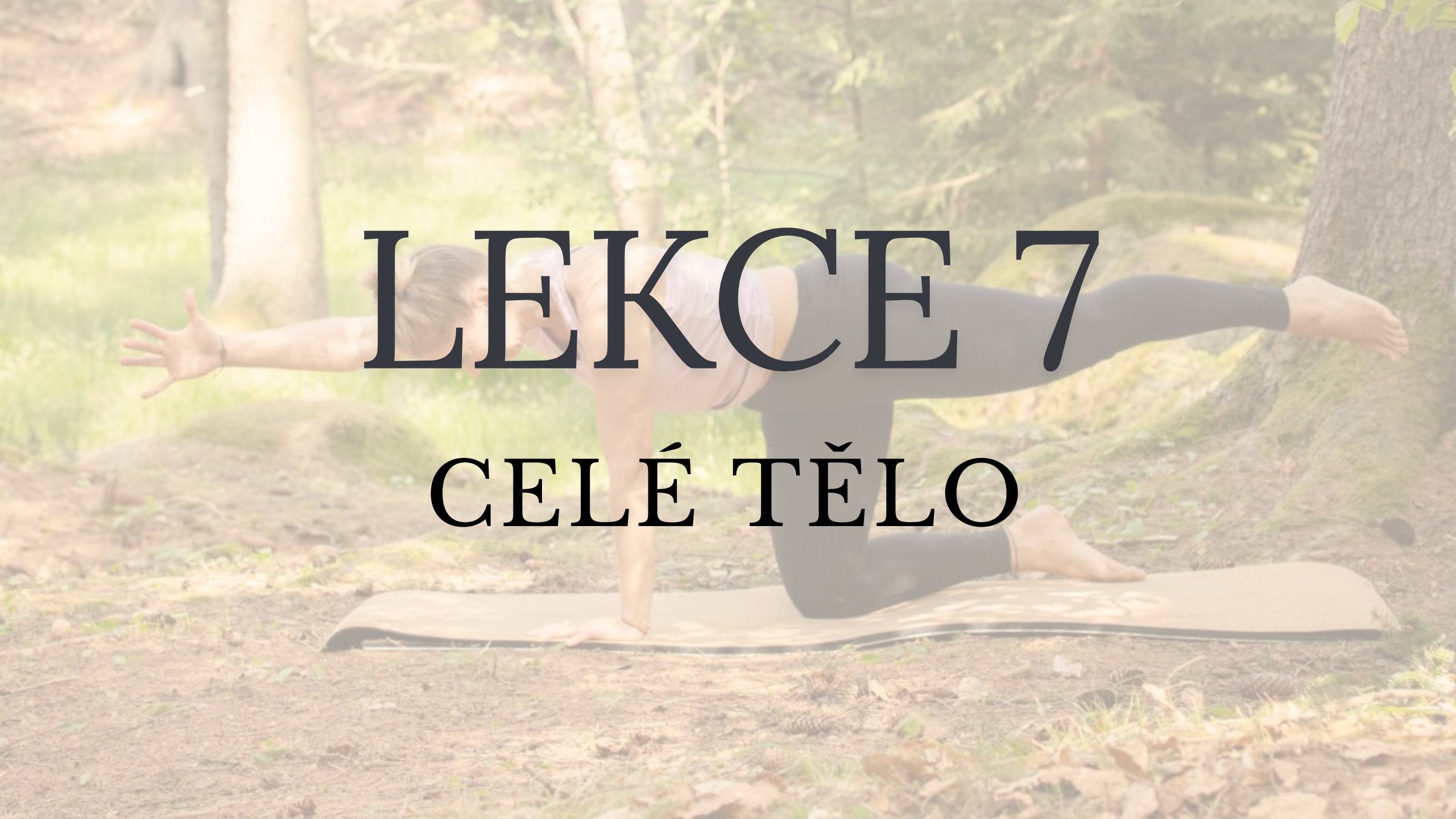 LEKCE 7 - Celé tělo