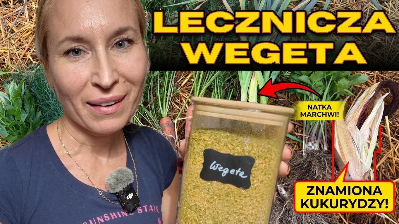 Lecznicza Domowa Wegeta – Zrób ją sam z natki marchwi i znamion kukurydzy!