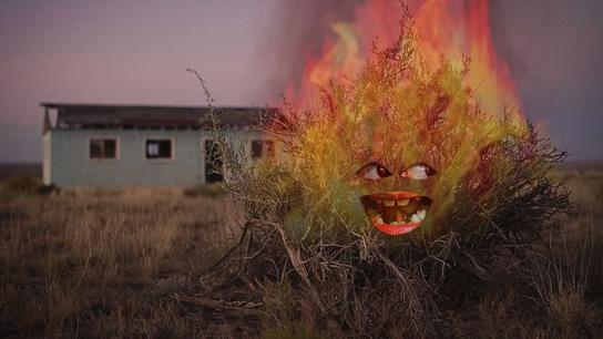 Satan Kingdom Babylon